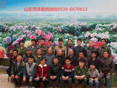 ���P(gu��n)�DƬ